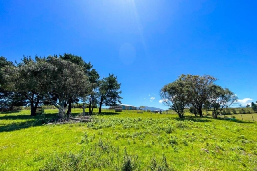 Commercial Property for Sale in Friemersheim Western Cape